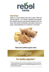 Ginger Dual Extracted Powder