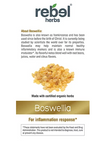 Boswellia Dual Extracted Powder