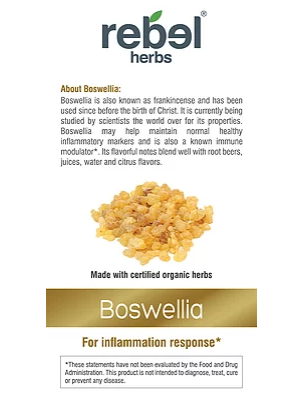 Boswellia Dual Extracted Powder