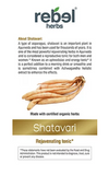 Shatavari Dual Extracted Powder
